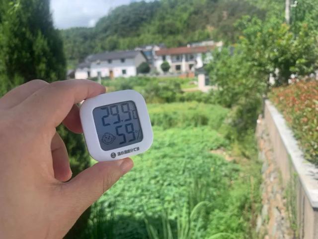 实现“西瓜自由”！临安这趟清凉之旅，上车！