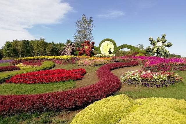 北京顺义国际鲜花港 梦幻的花海秘境