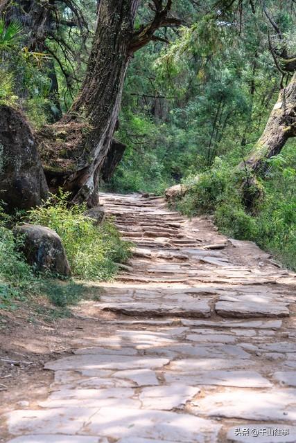 春山藏古寺，骑行访千年—枣庄山亭寻幽记，方丈竟然是释永信师弟