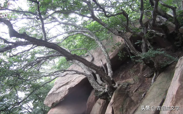 沂山，中国第一镇山