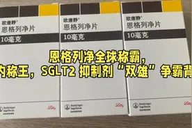 达格列净与恩格列净：国内国外市场“天差地别”，究竟为何？图片