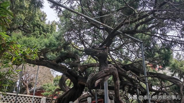 泰安：它被誉为泰山“开山第一庙”，却常常遭到登山游客的忽略