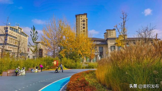 【东方微笑 多彩麦积】摄影师看麦积 | 马跑泉公园冬日风光美