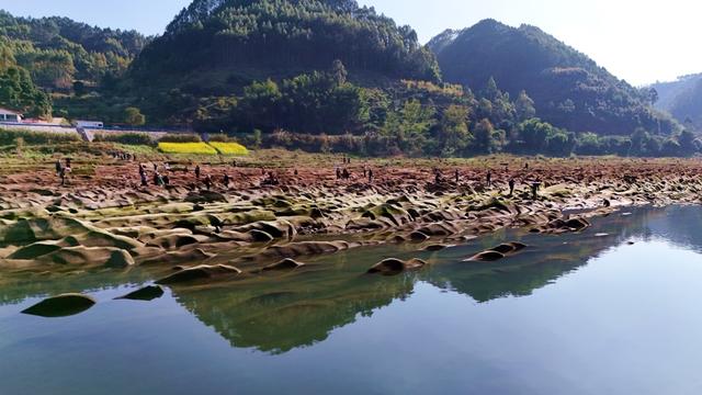 春暖花开，悦来镇石鸭子滩景点游人如织