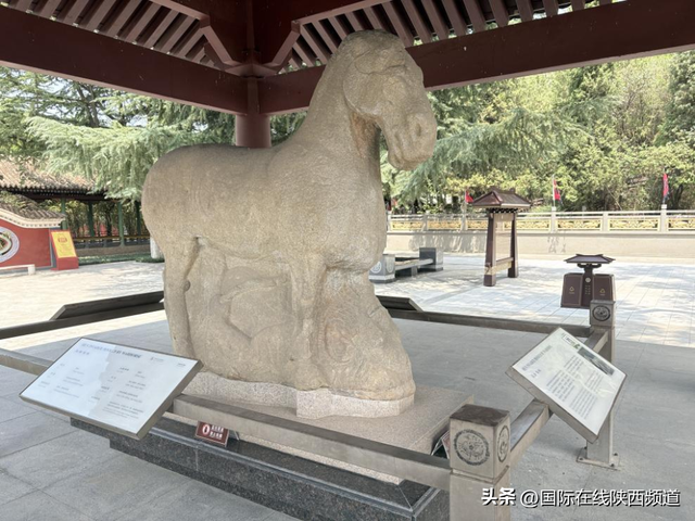 【秦地最胜 无如咸阳】天下共此心 从“东方金字塔”叩响世界文化共通脉搏