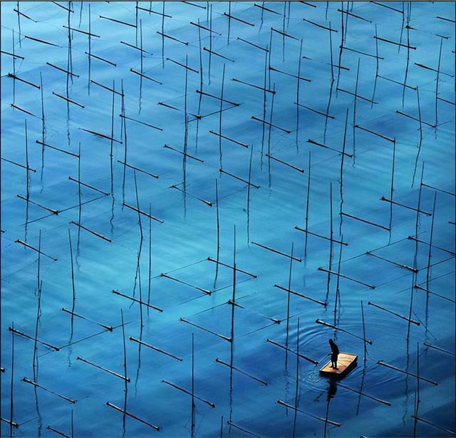 这是油画还是实景？太美太美啦！！