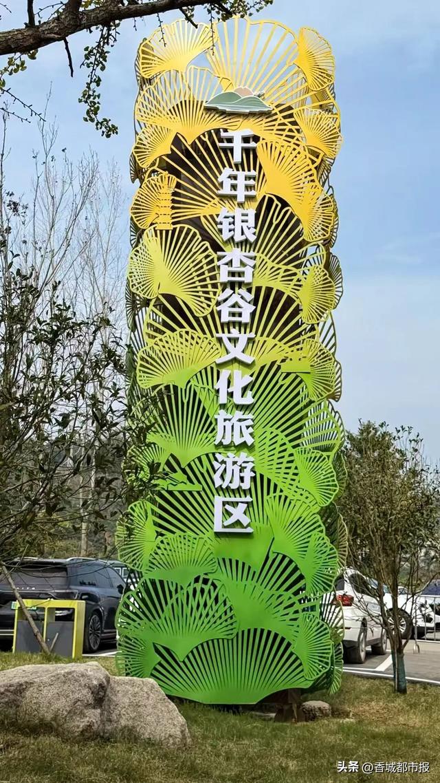 文旅融合绽新颜 | 千年银杏谷激活旅游发展新动能