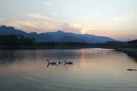 林少华：余光中的《乡愁》与古文修养图片