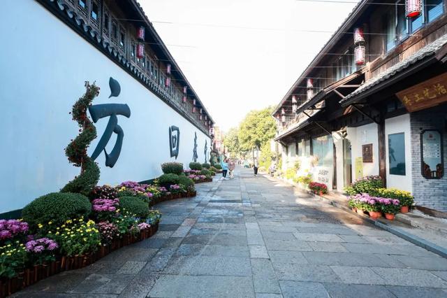 230种“秋韵”上线！拱墅这片花海藏不住了