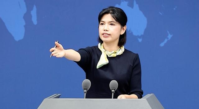 国民党改选一团糟，郑丽文领跑，两岸立场成焦点，洪秀柱一锤定音