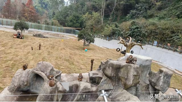 元旦去哪儿？｜1月1日恢复营业，游园攻略请查收