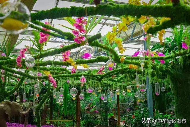 当你开始回味“幻乐之城”中牟之旅......
