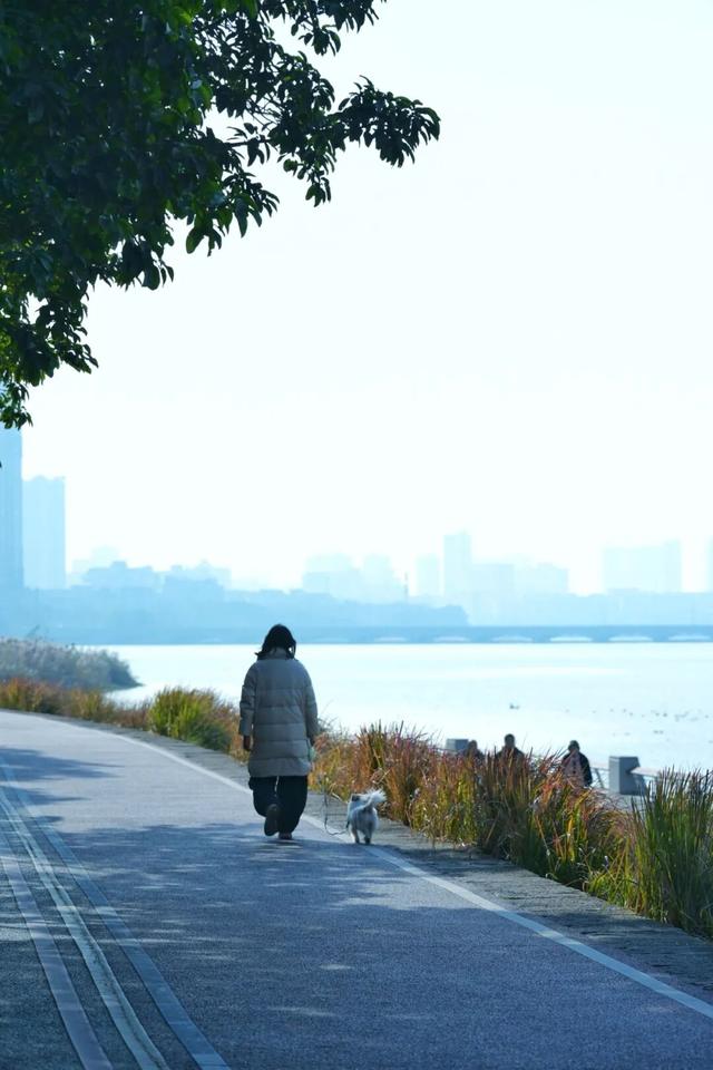 走，成都出发看“海鸥”！24分钟拢德阳，动车5分钟一趟说走就走