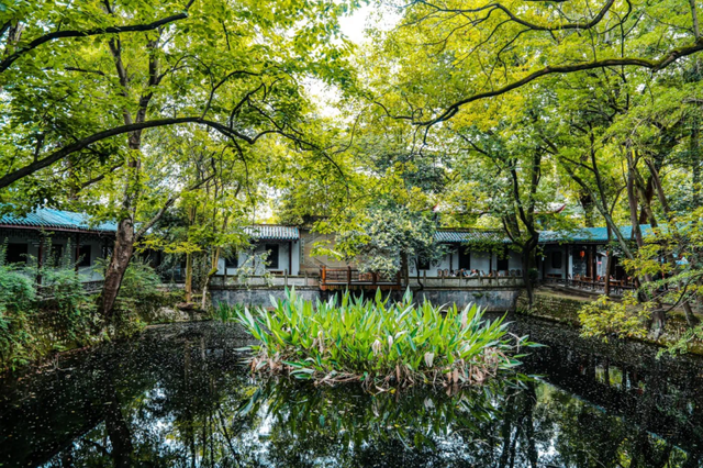 探寻老街巷褶皱里的城市密码，感受正宗郫都味~