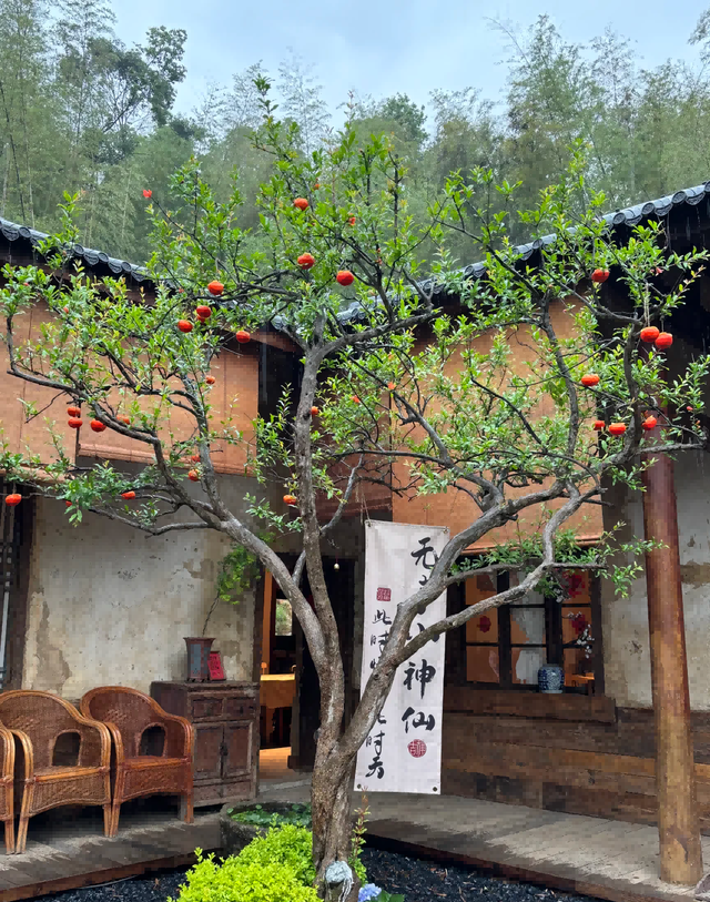 老来有个小院，心静如水，日子悠长