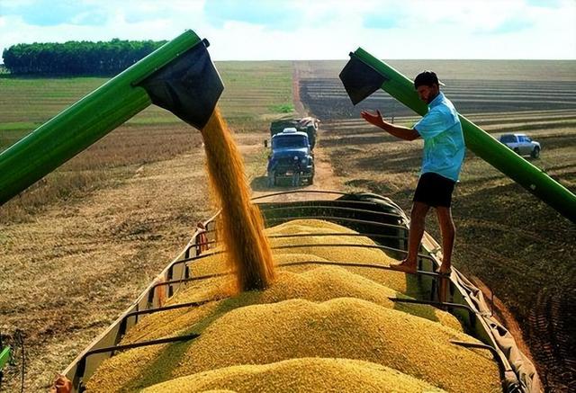 巴西大豆坐地起价？对华报价疯涨	，中国买家集体停购：等两个时机