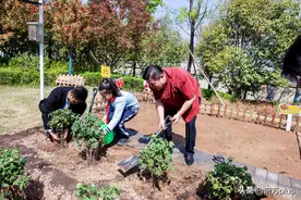 中医药课程 让孩子们爱上中华优秀传统文化图片