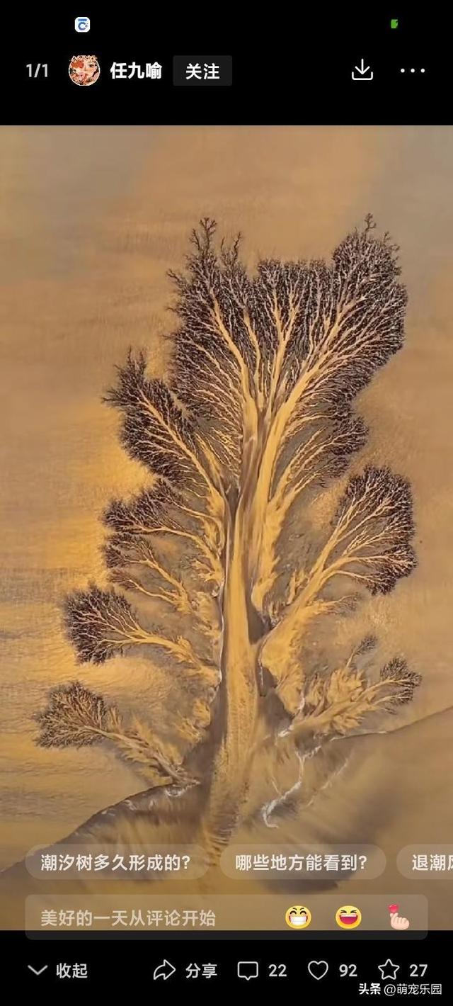 操控无人机偶遇钱塘江奇观，退潮后滩涂现巨型潮汐树