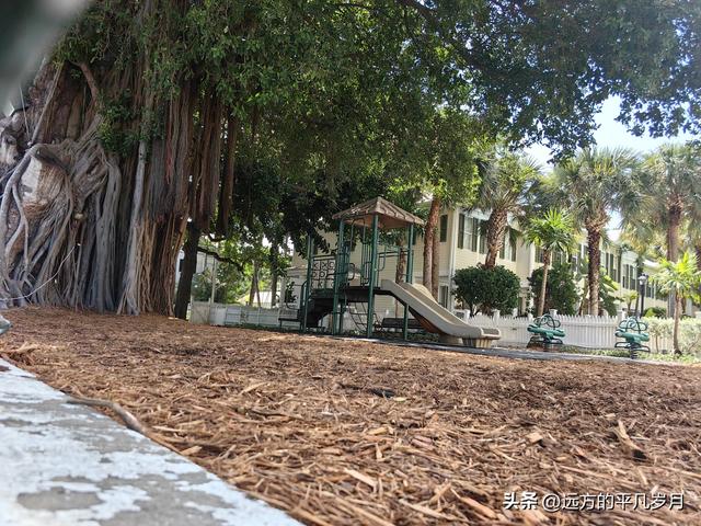 美国最南端的文艺小岛Key West(迈阿密游记四）