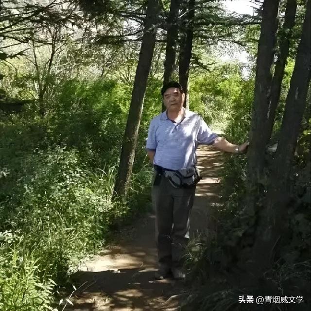 鲁山，鲁中名山