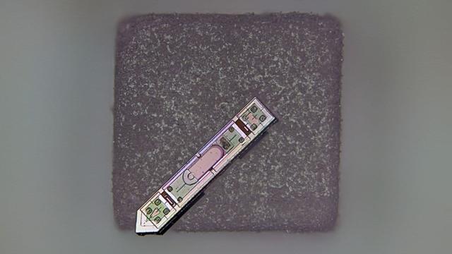 科学家发明激光驱动微型芯片，实现大脑信号无线传输突破