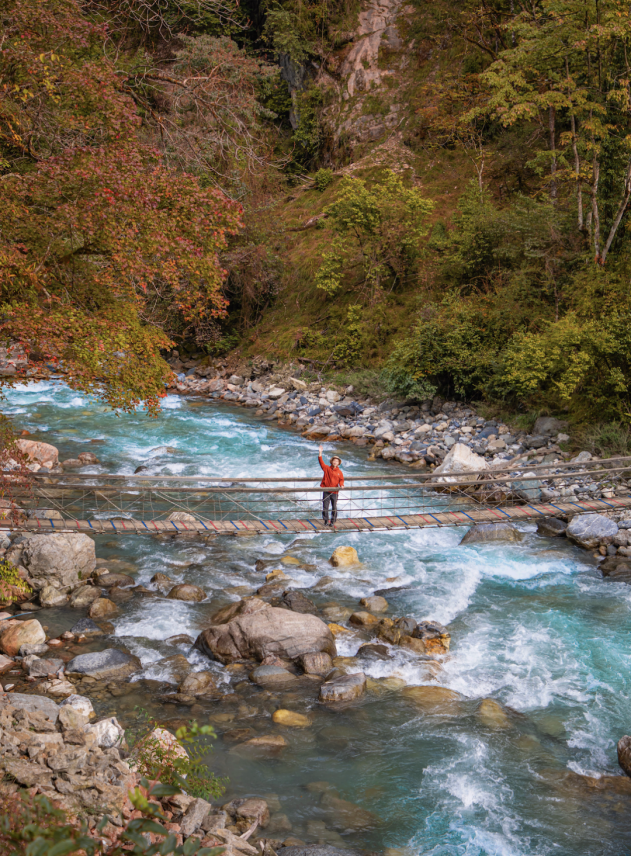最佳观赏期！雅安的红叶彩林“封神”啦！