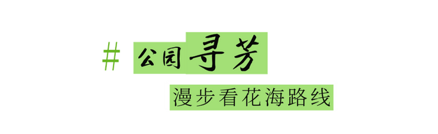 假期来宝安，读书、观海、“上雪山”!