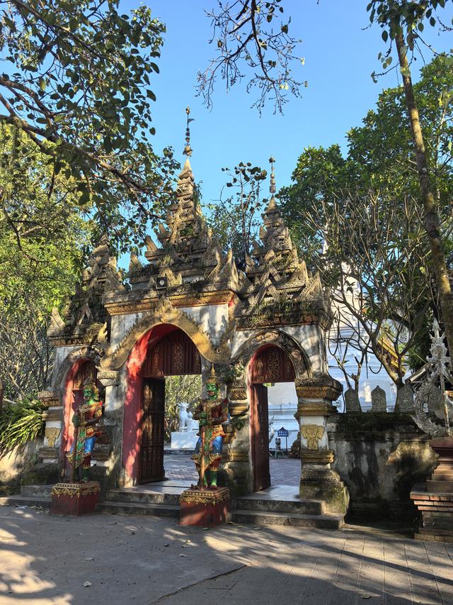 畅游植物王国 体验傣族风情