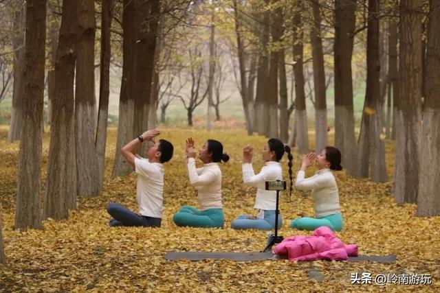 全部免费！渭河南河堤路赏秋攻略大全，那风景简直美爆了！