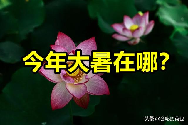 “大暑在头，八月桑拿；大暑在尾，八月穿袄”，今年的大暑在哪？