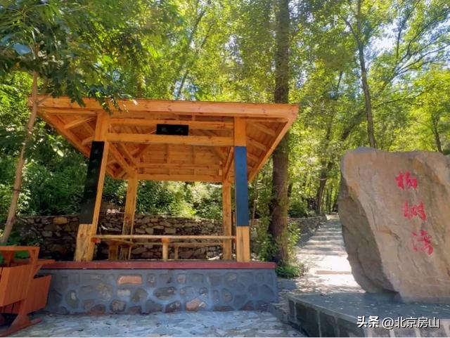 诚邀您共赴一场焕活身心的“森”呼吸之旅！