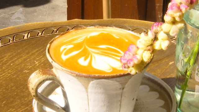 收藏这份“鎏金地图”，喝咖啡、拍银杏、晒太阳