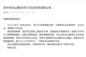 提醒！长白山景区4月12日全天关闭图片