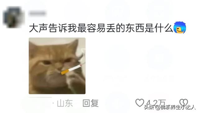 笑晕！法国网红测试中国安全感，网友趣评：我们管这叫“占座”！