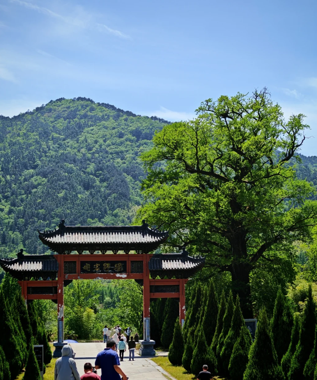 河南“天然空调房”里，来场“森呼吸”！