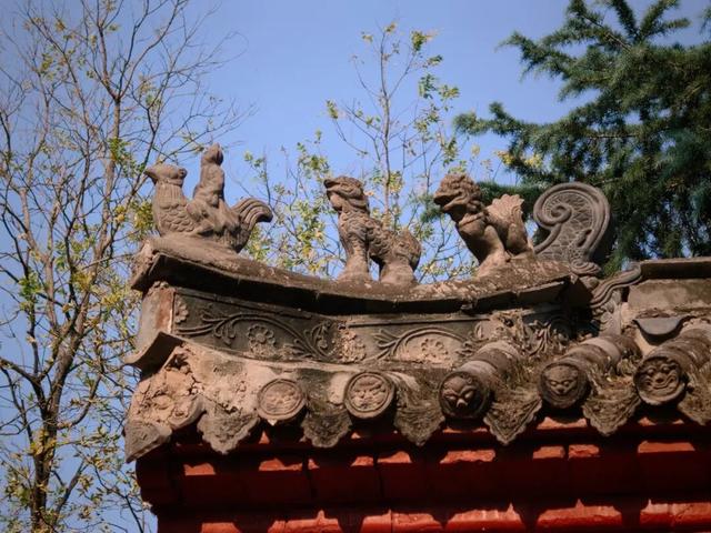 免费人少还出片！洛阳邙山这条“修仙”路线，一点不比白马寺差