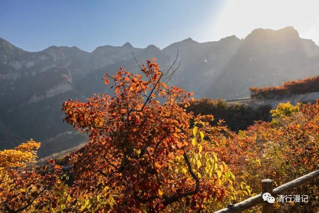 京郊游之坡峰岭