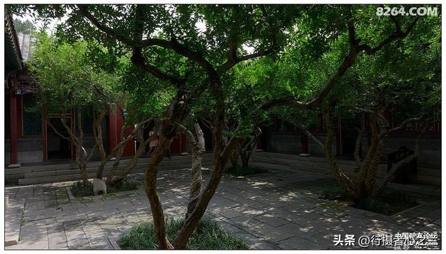 山东行游影记（6）—济南趵突泉（六）