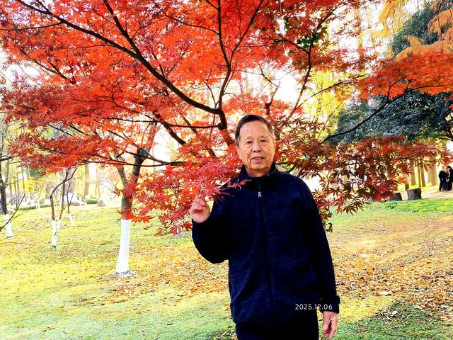 行走在月湖公园