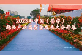 花漾南岭，绿美广东——2023普宁黄杨盆景艺术展隆重举行图片