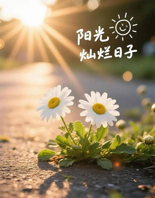 超哇塞的治愈文案—温暖又带光，选一条发圈，100%被赞爆