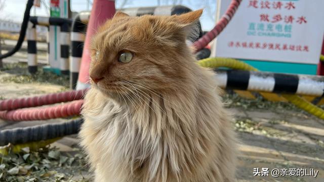 从深圳辞职回到广西，2025年一个人自驾去新疆，我越来越好了！