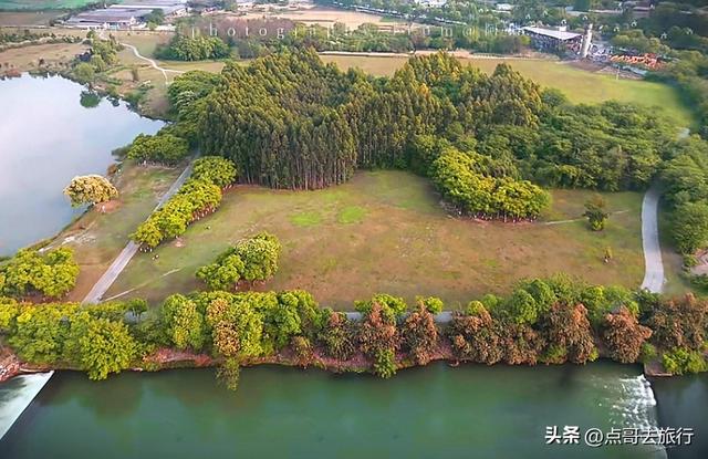 成都市区最大免费露营地，可以烧烤、烤肉，公共交通可到达！