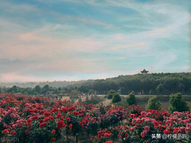人民日报夜读感悟：一个人最好的气质，就藏在这4个词里
