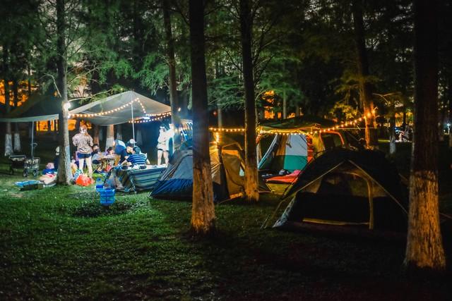 自驾找免费露营地难？2个APP实测：精准定位能看差评，亲测避坑！