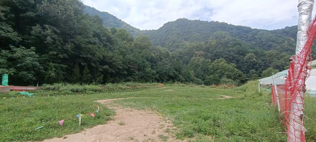 翠华山滑草场