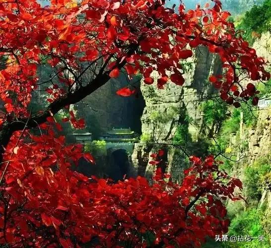 北京人去石家庄和太原,直言不讳:石家庄人和太原人气质截然不同