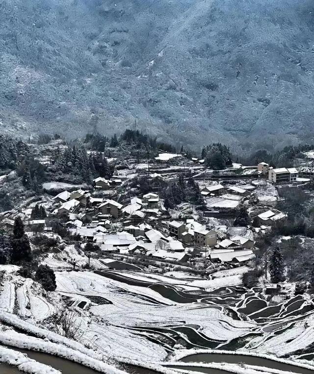 下雪了！下雪了！浙江的第一场雪来了！