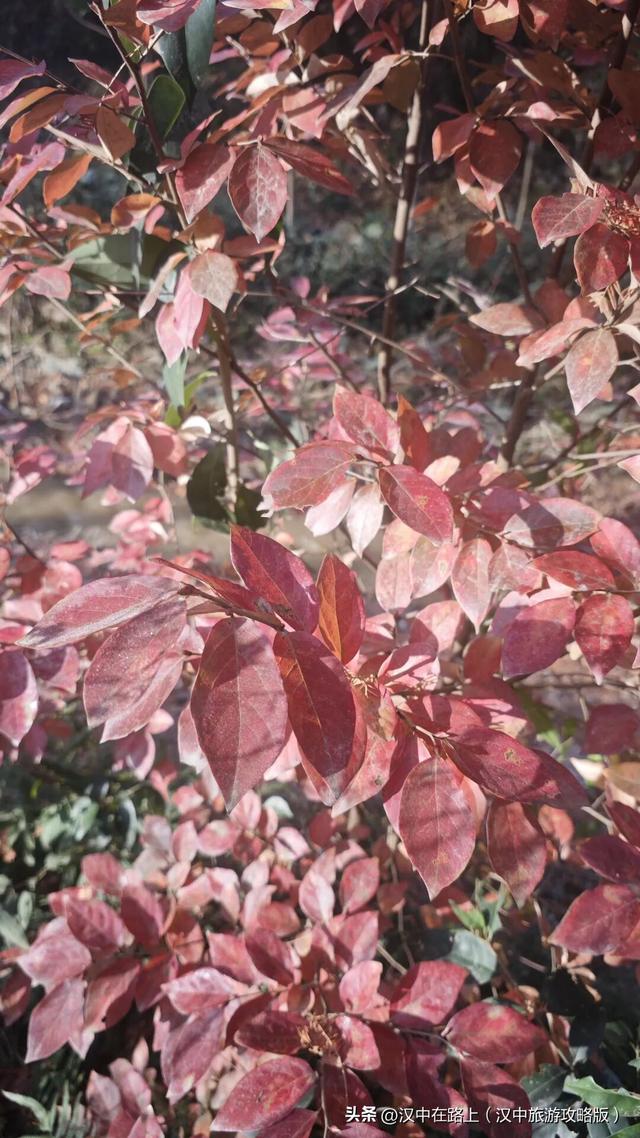 汉中洋西路自驾邂逅冬日限定美景！