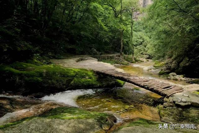 跟着美食畅游渭南：山水与美食交融的旅程 今夏难忘的清凉记忆